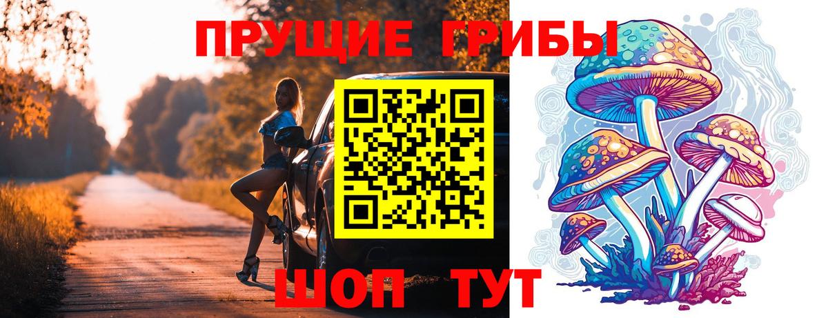 Галлюциногенные грибы Cubensis Серов