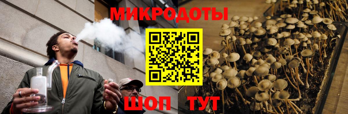 Псилоцибиновые грибы Magic Shrooms  Вход с VPN  Псилоцибиновые грибы GOLDEN TEACHER  Серов 